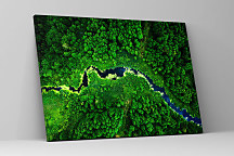 Obraz Dažďový prales zs1220